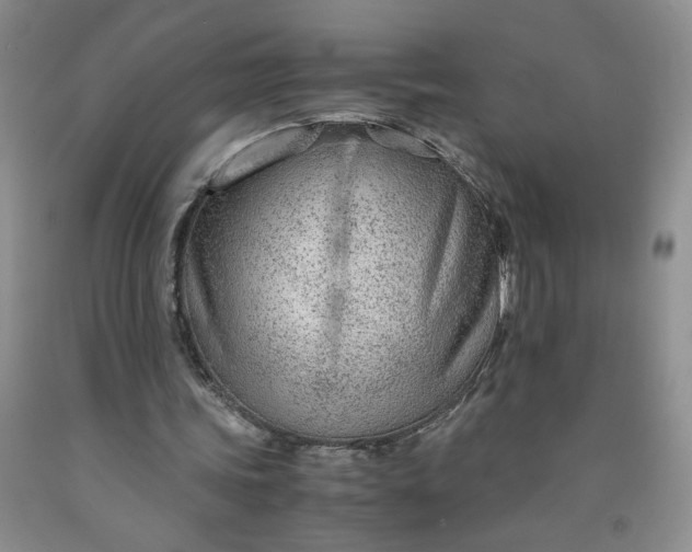 X0000091980339200709201431