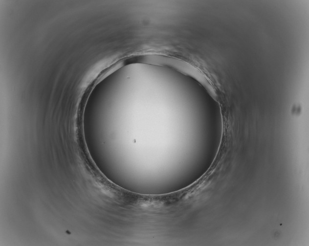 X0000091980340200709201431