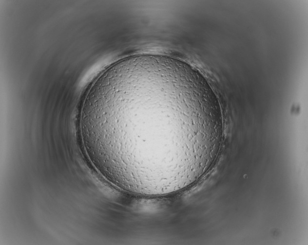 X0000091980341200709201431