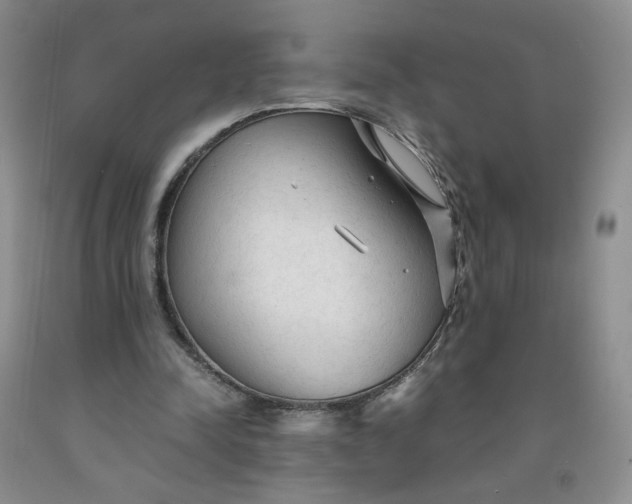 X0000091980342200709201431