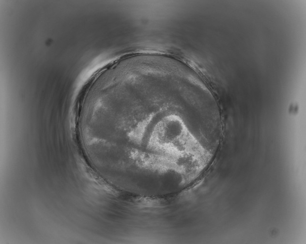 X0000091980343200709201431