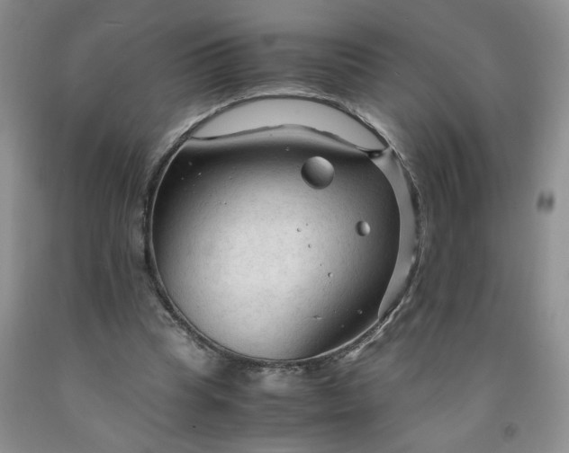 X0000091980345200709201431