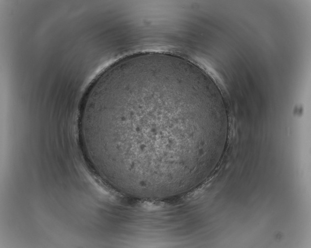 X0000091980346200709201431