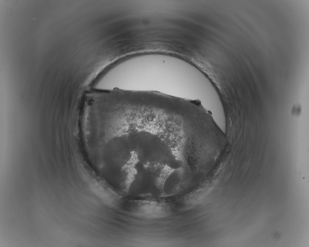 X0000091980347200709201431