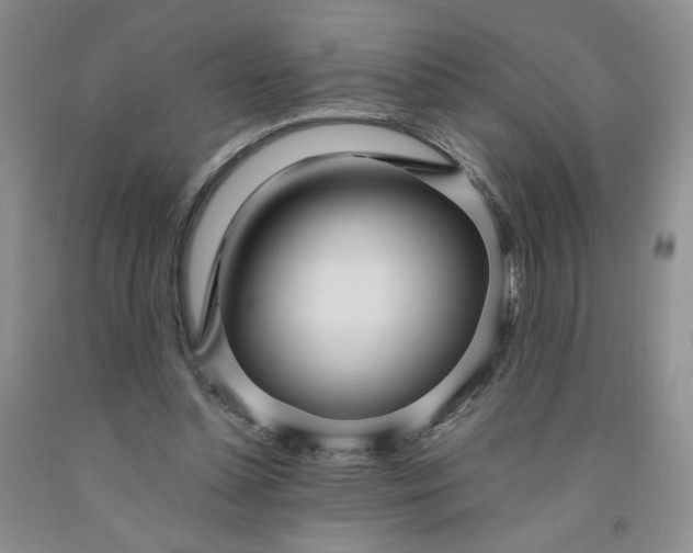 X0000091980348200709201431