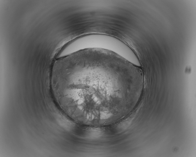 X0000091980349200709201431