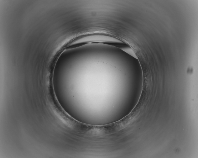 X0000091980350200709201431