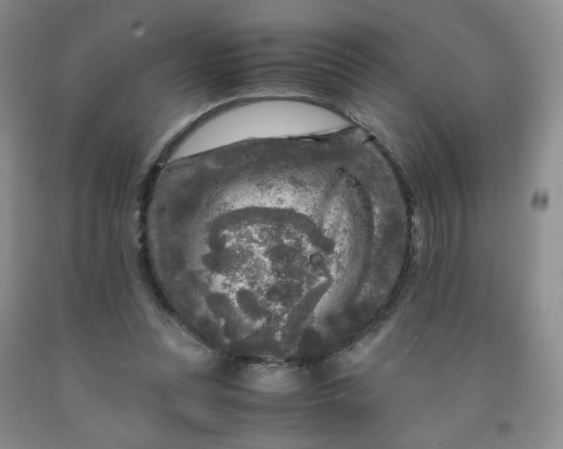 X0000091980351200709201431