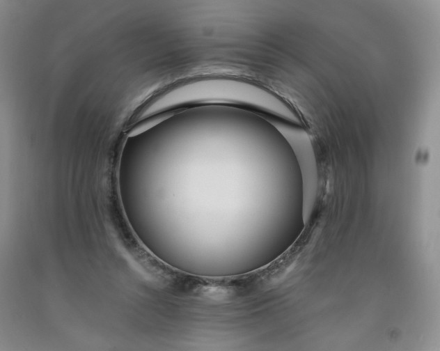 X0000091980352200709201431