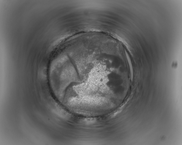 X0000091980353200709201431