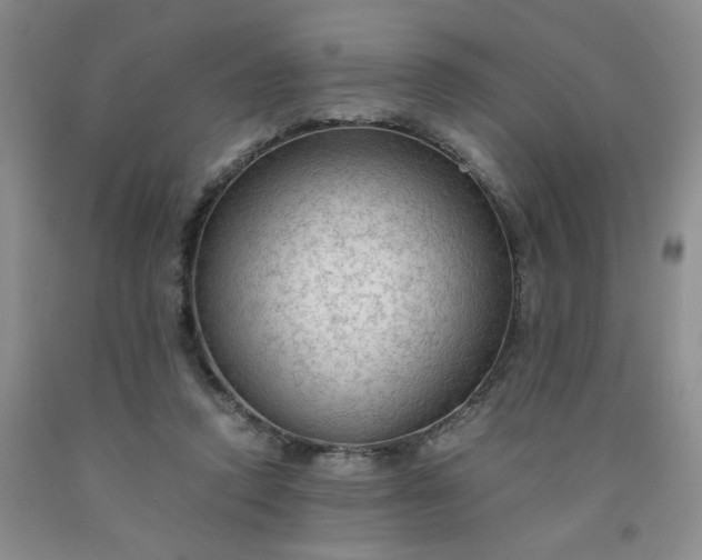 X0000091980354200709201431