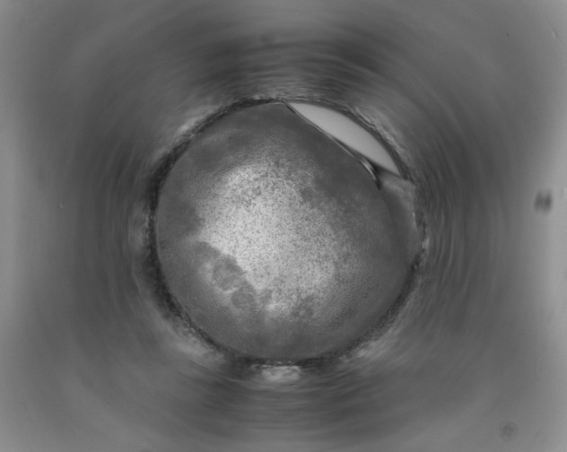 X0000091980355200709201431