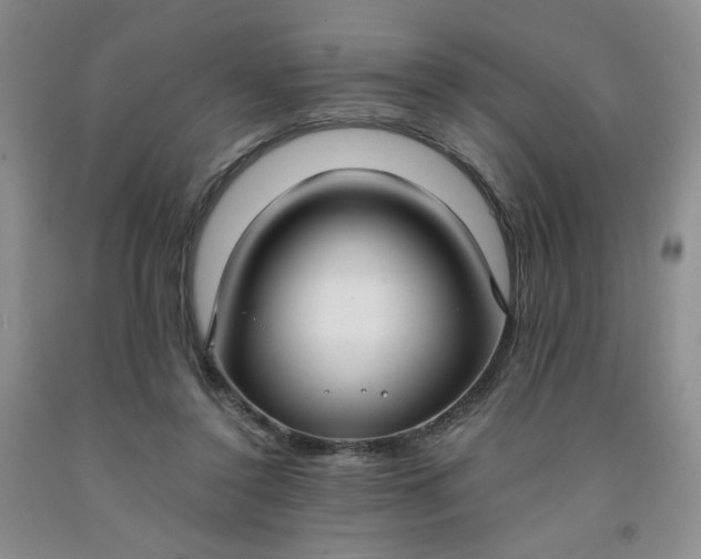 X0000091980356200709201431