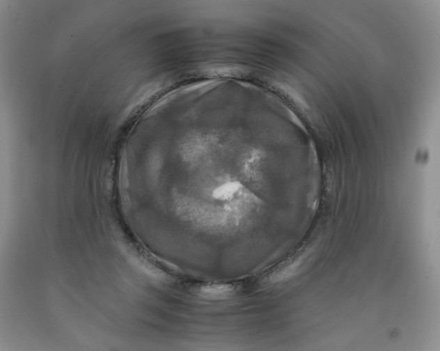 X0000091980357200709201431