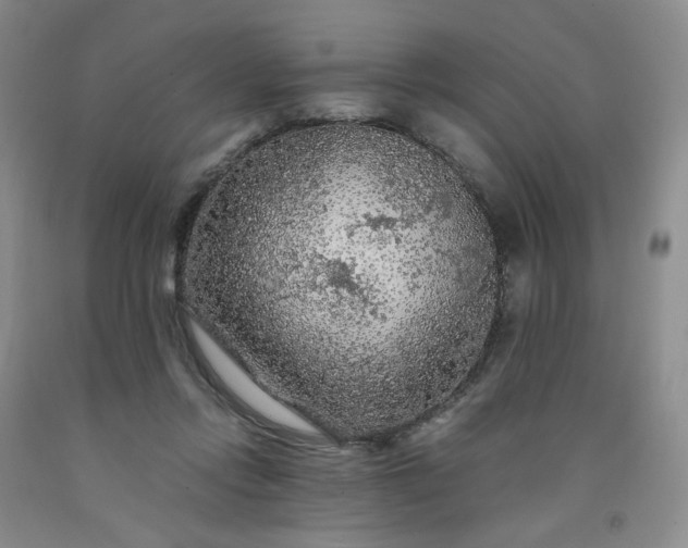 X0000091980358200709201431