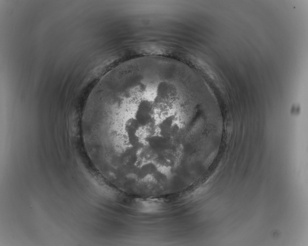 X0000091980359200709201431