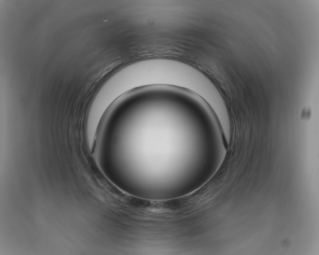 X0000091980360200709201431