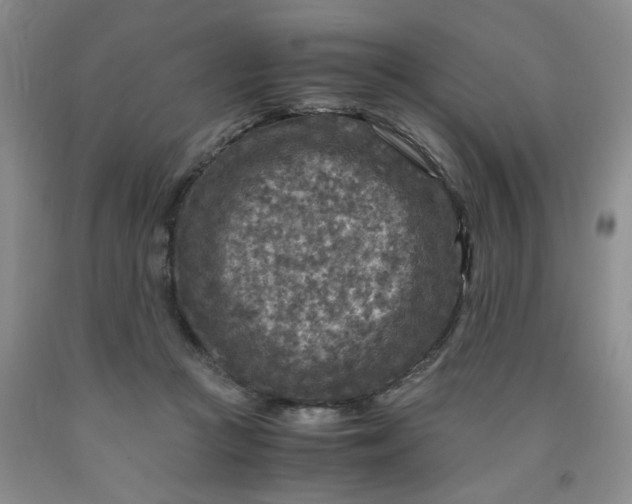 X0000091980361200709201431