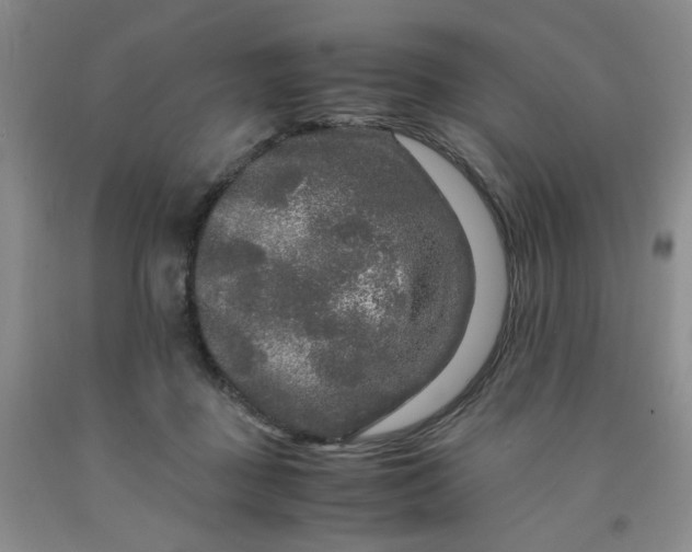 X0000091980363200709201431