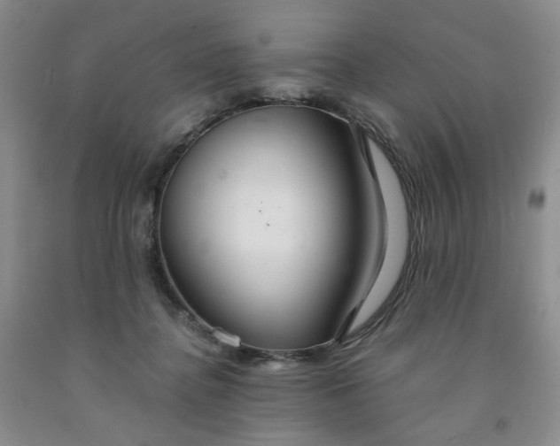 X0000091980364200709201431