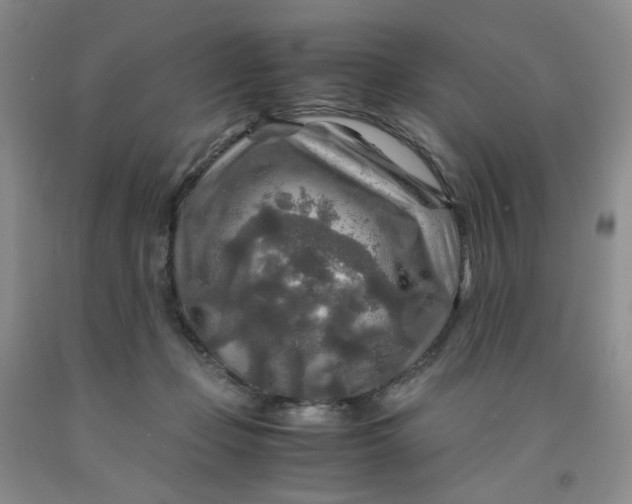 X0000091980365200709201431