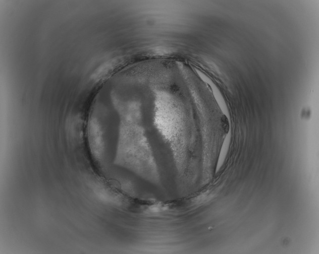 X0000091980366200709201431