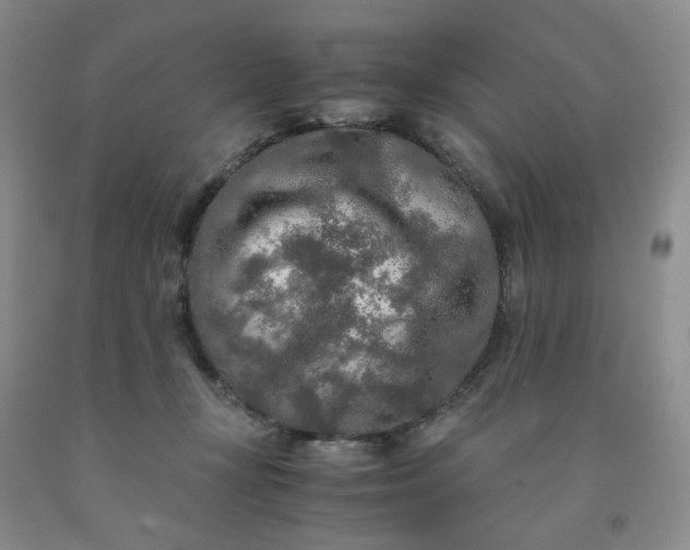 X0000091980367200709201431