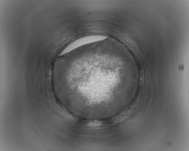 X0000091980369200709201431