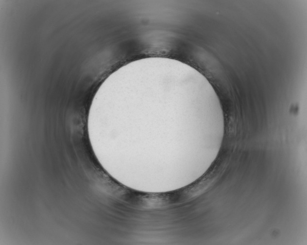 X0000091980370200709201431