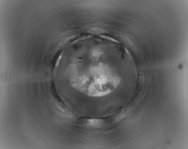 X0000091980371200709201431