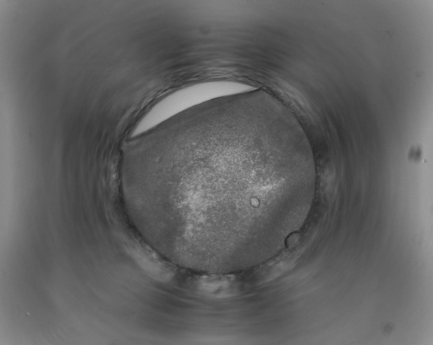 X0000091980373200709201431