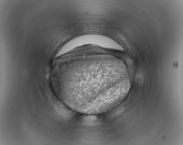 X0000091980374200709201431