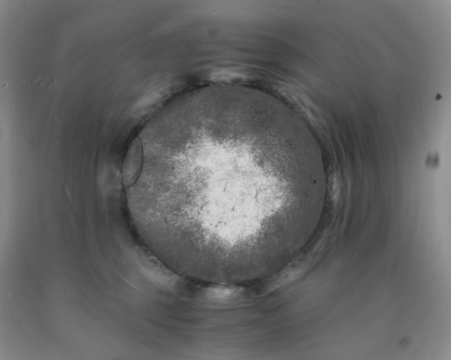 X0000091980375200709201431