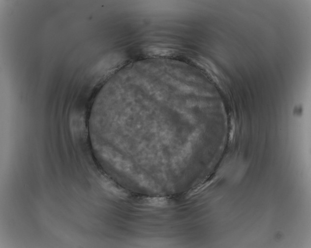 X0000091980377200709201431