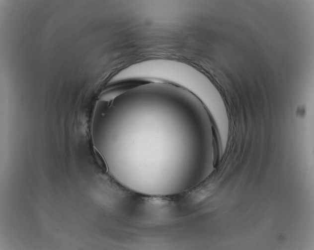 X0000091980380200709201432