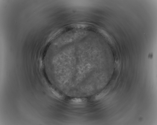 X0000091980381200709201432