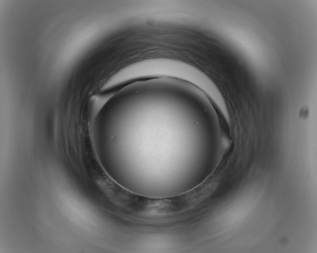 X0000091980382200709201432