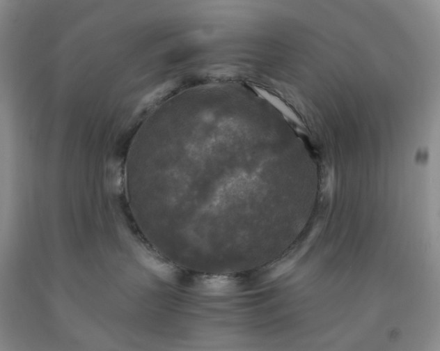 X0000091980383200709201432