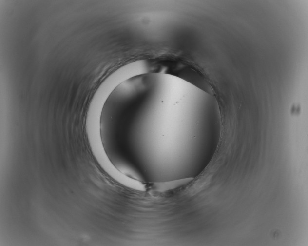 X0000091980384200709201432