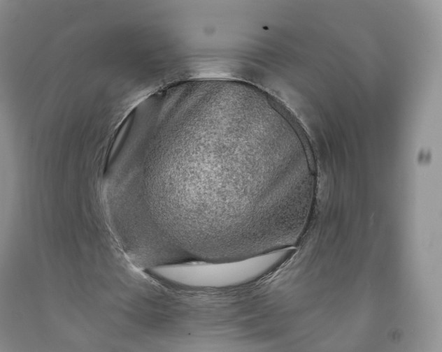 X0000091980385200709201431