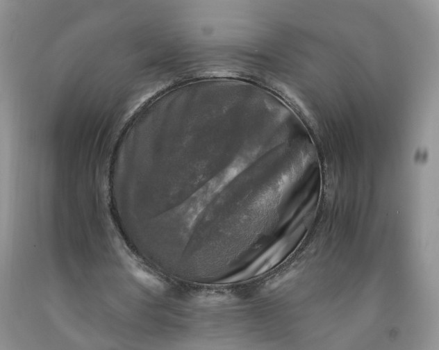 X0000091980386200709201431