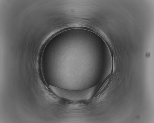 X0000091980387200709201431