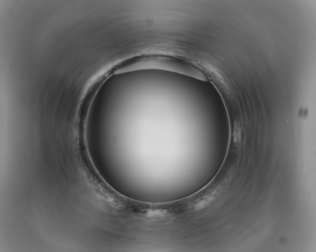 X0000091980388200709201431