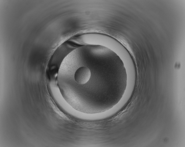 X0000091980389200709201431