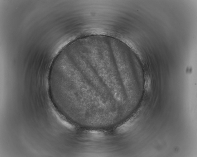 X0000091980390200709201431