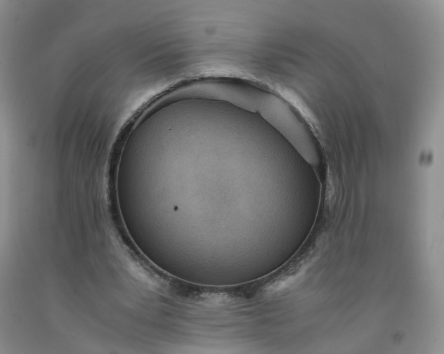 X0000091980391200709201431