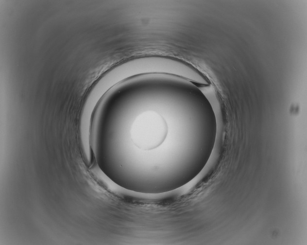 X0000091980393200709201431