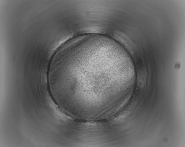 X0000091980394200709201431