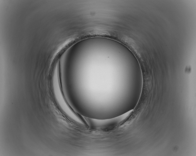 X0000091980395200709201431