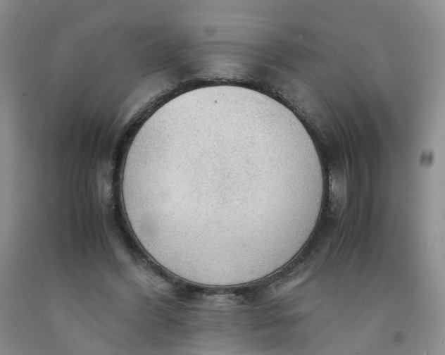 X0000091980396200709201431